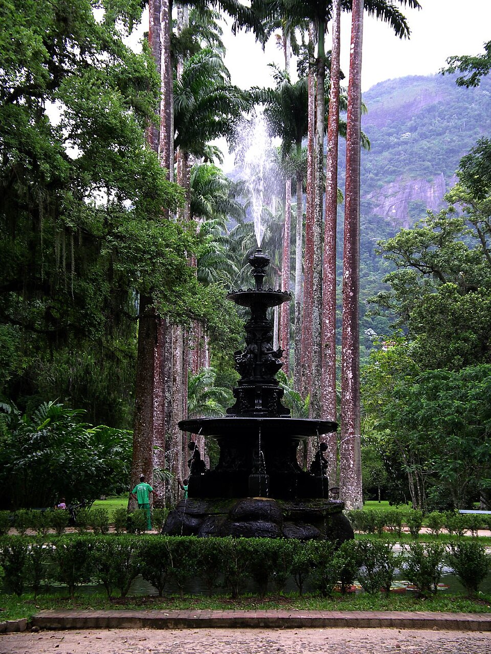 Rio de Janeiro Botanical Garden