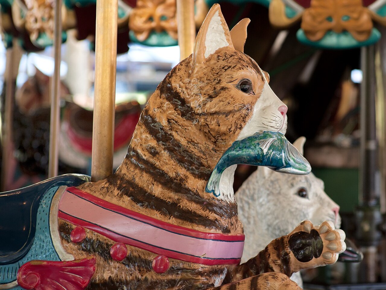 Une photographie de Carousel