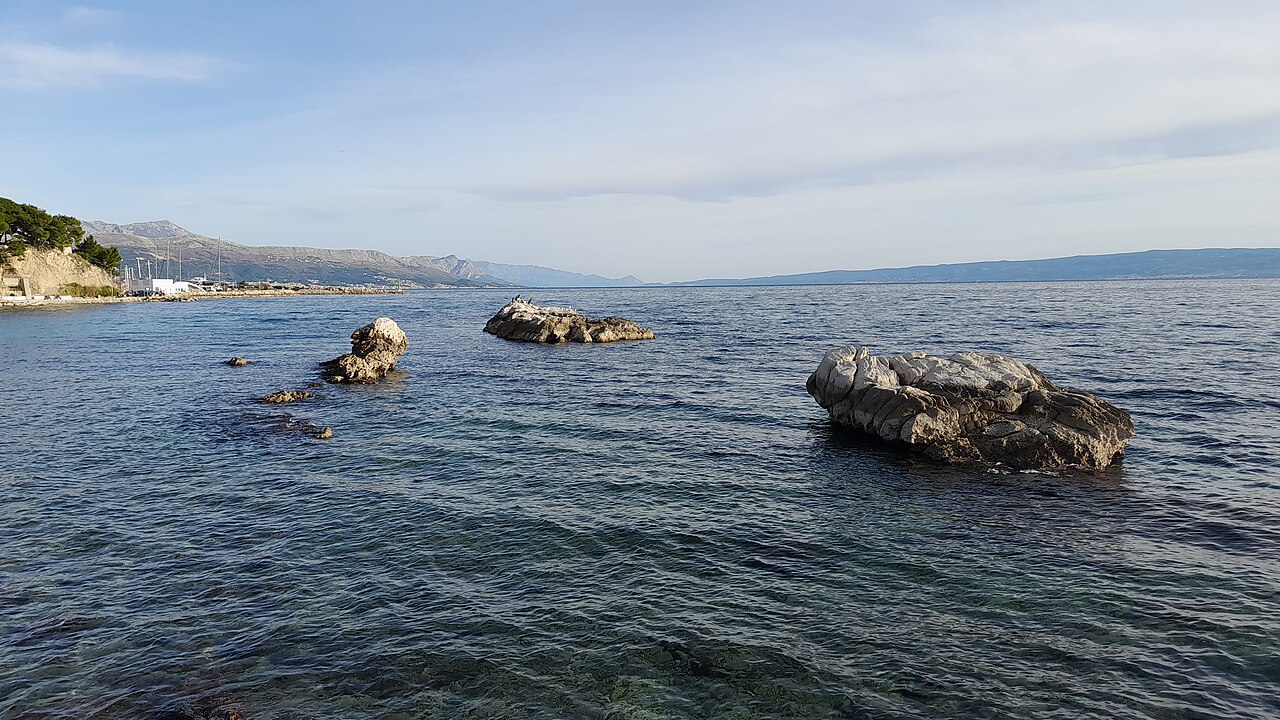 Firule fotoğrafı