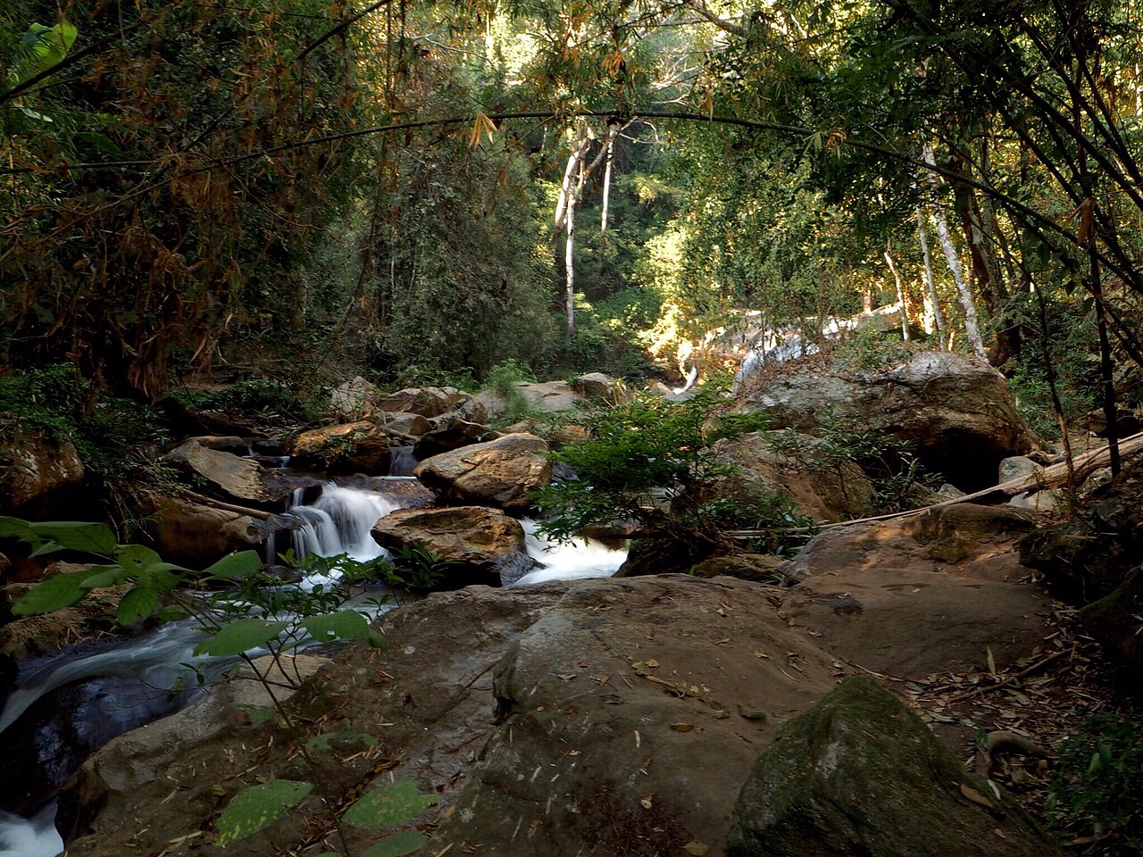 Mae Sa Waterfall의 사진