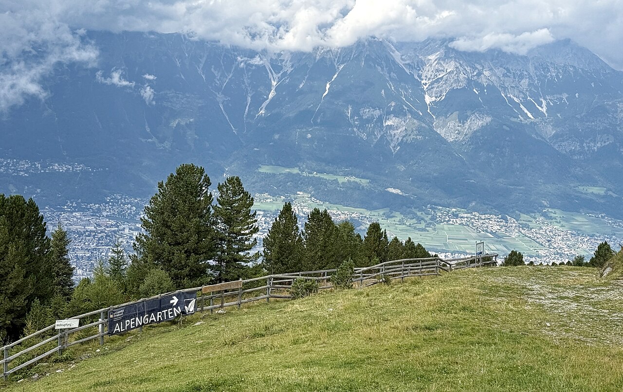 Alpengarten fotoğrafı