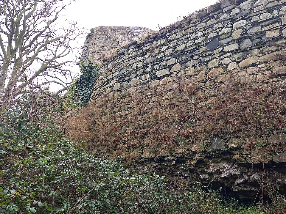 A photograph of Castleknock Castle