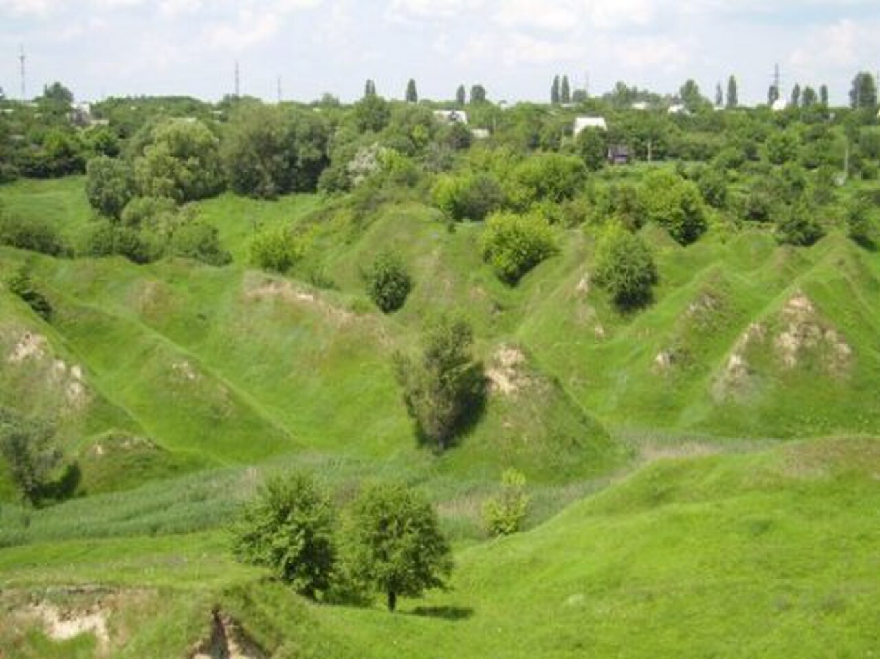 Gully Reserve fotoğrafı