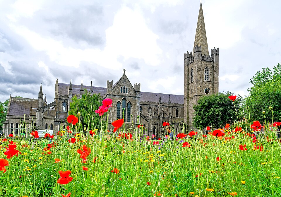 A photograph of St Patrick's Cathedral
