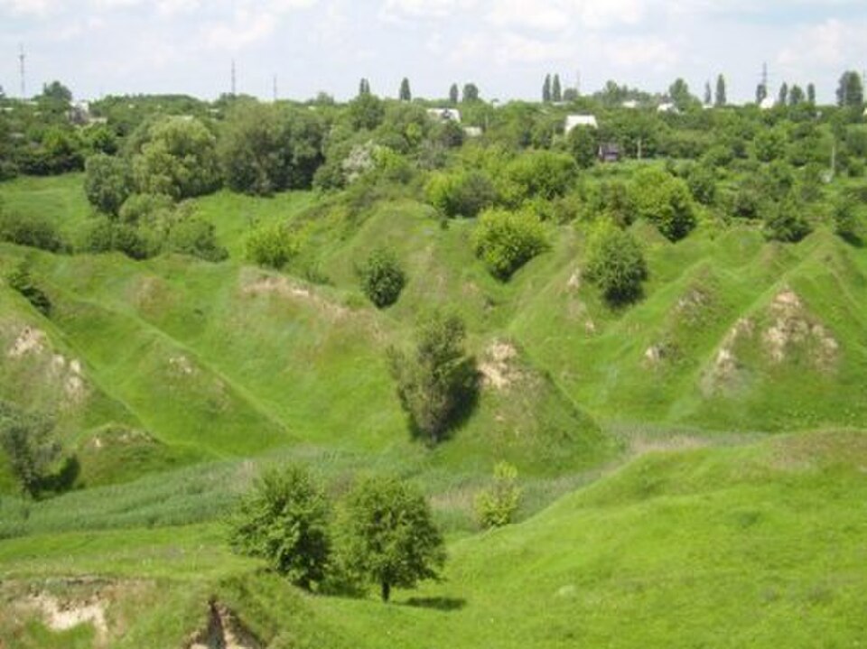 A photograph of Gully Reserve