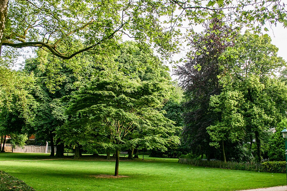 A photograph of Cinquantenaire Park