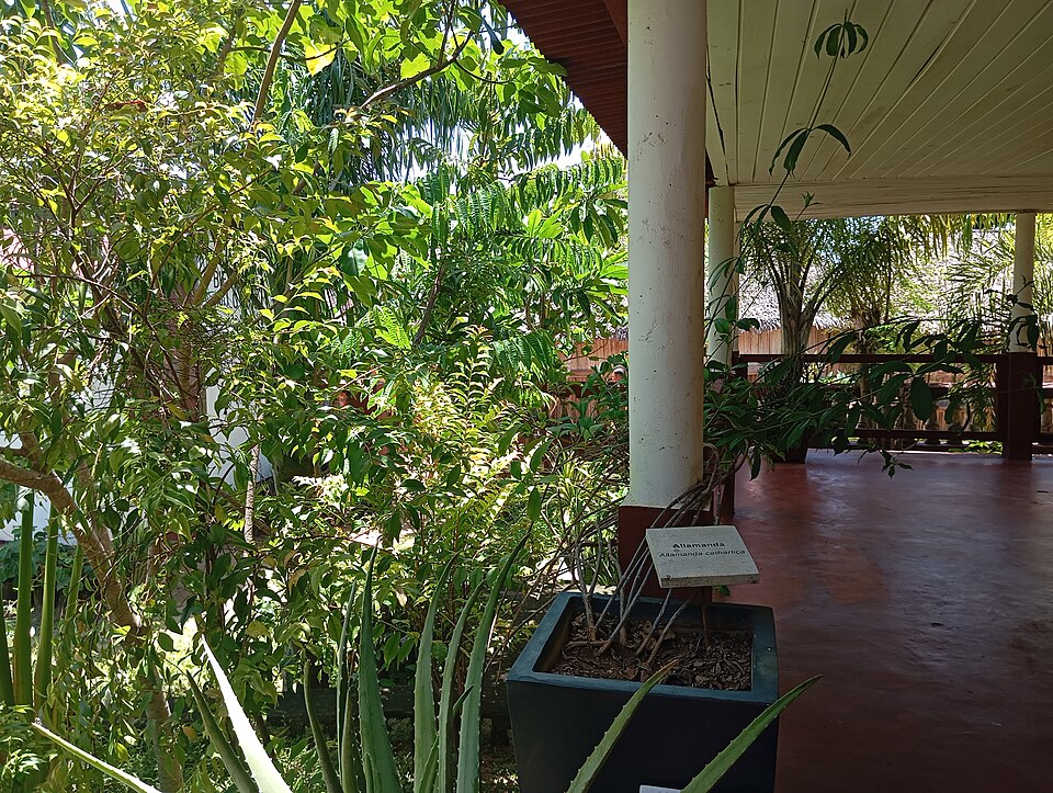 A photograph of Madagascar