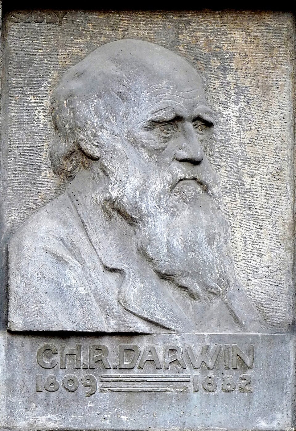 A photograph of Charles Darwin