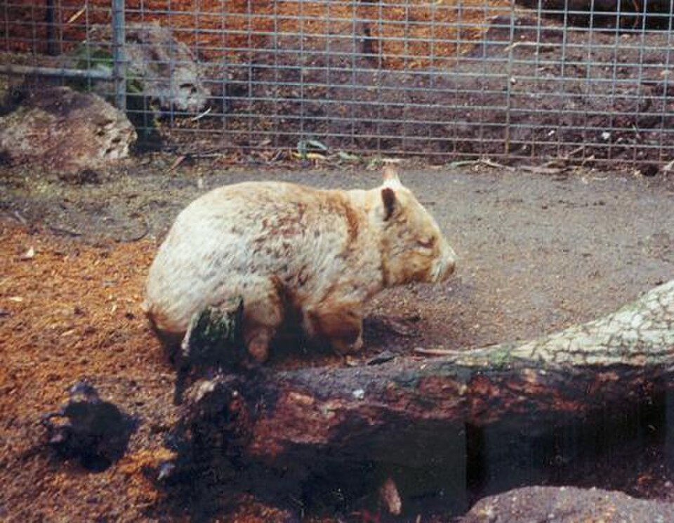 Gorge Wildlife Park