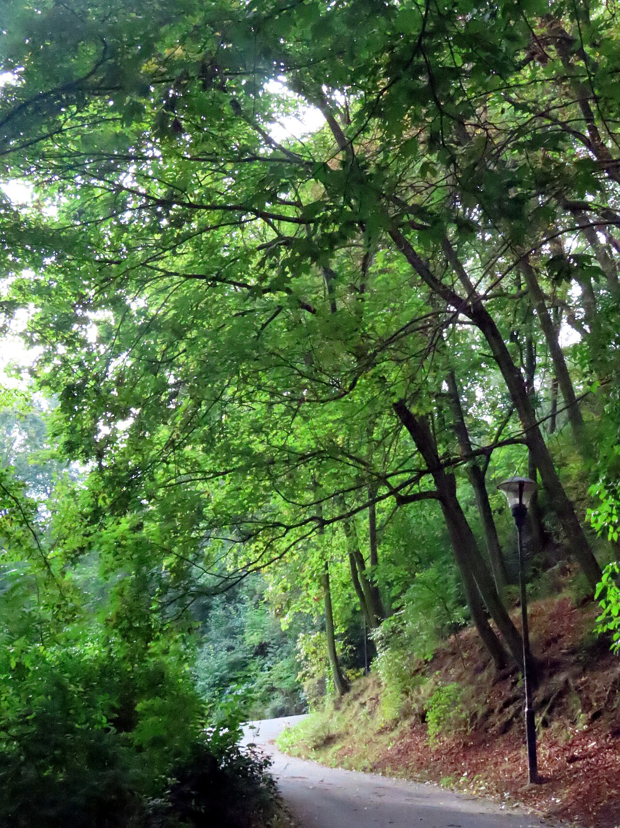 صورة Petřín