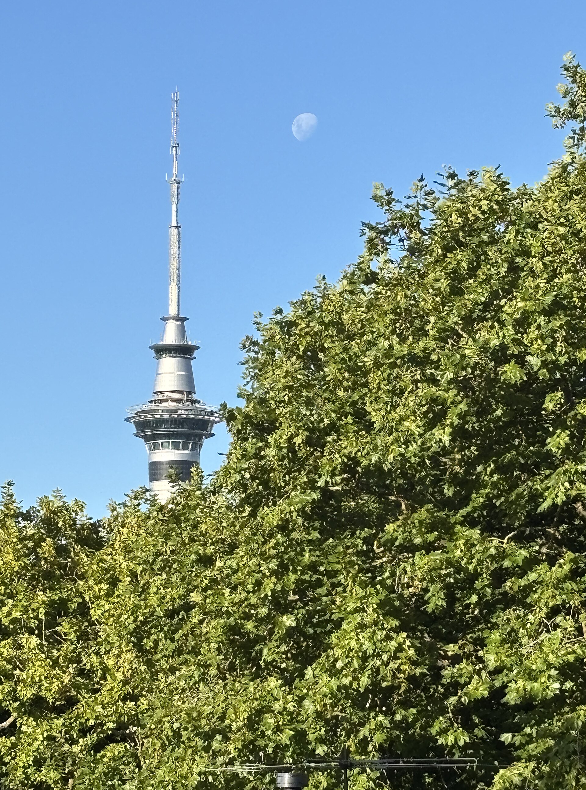 Sky Tower
