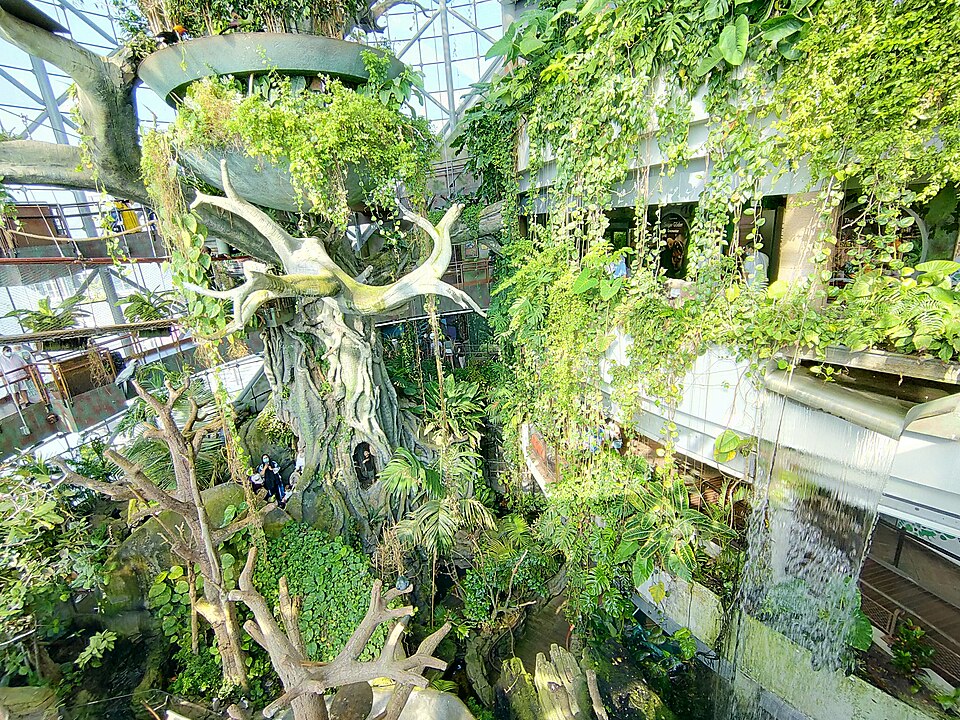 A photograph of The Green Planet