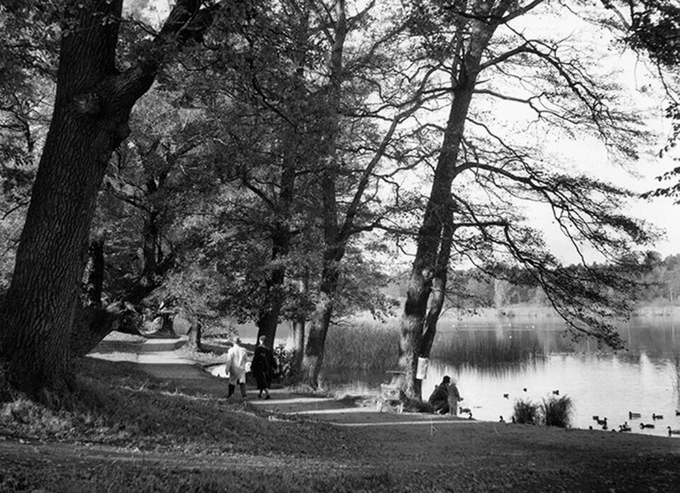 A photograph of Råstasjön