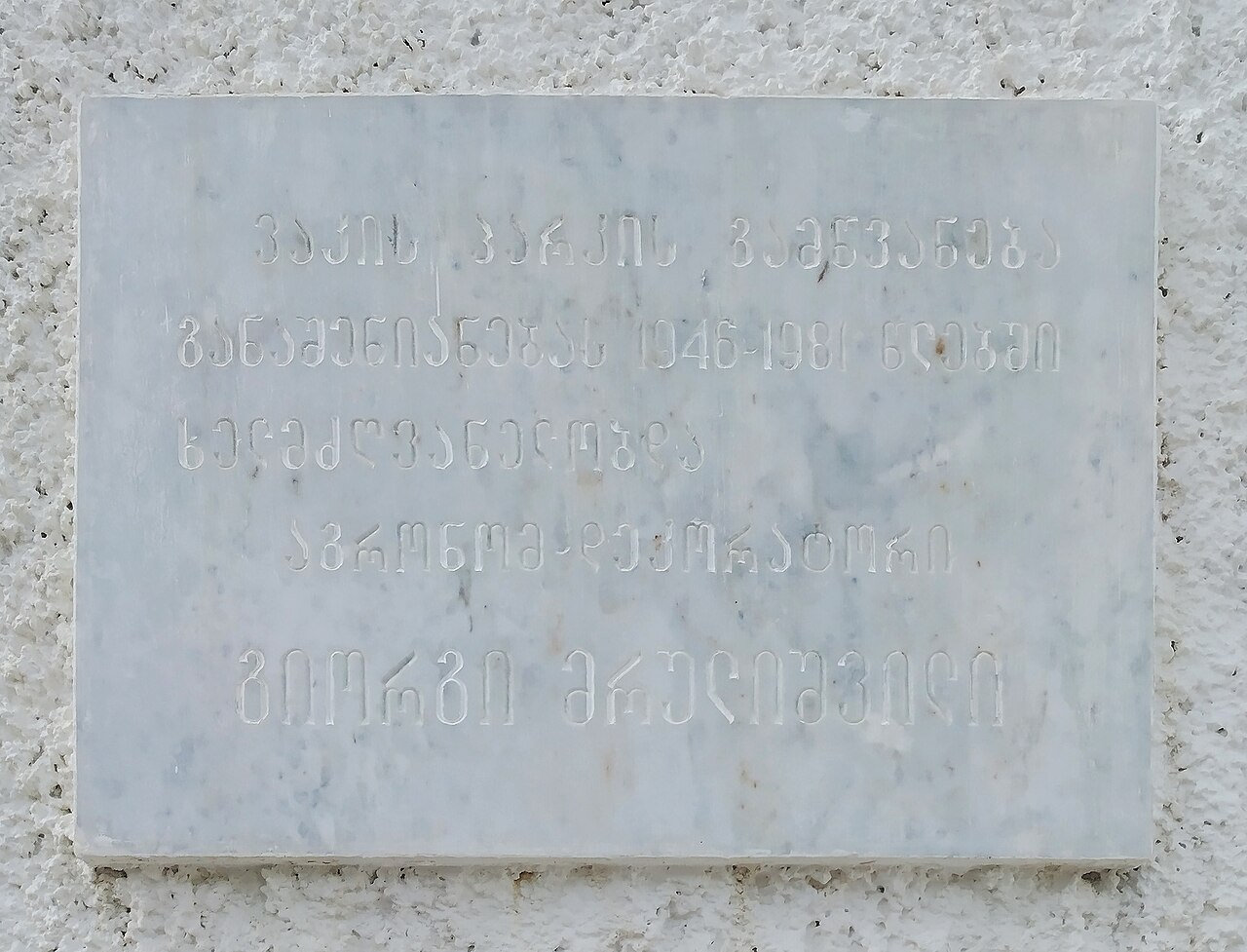 Ein Foto von ვაკის პარკი