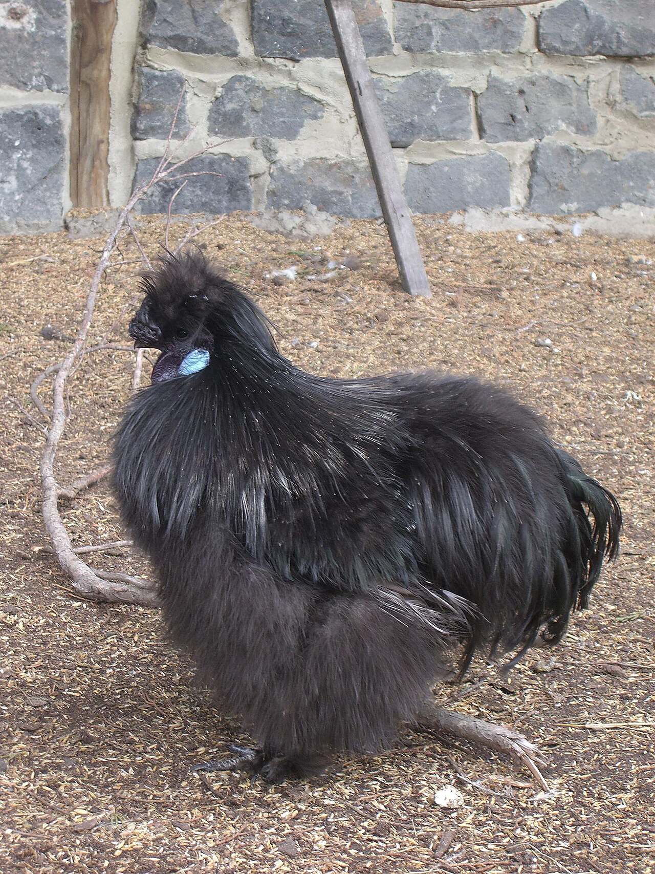 Collingwood Children's Farm