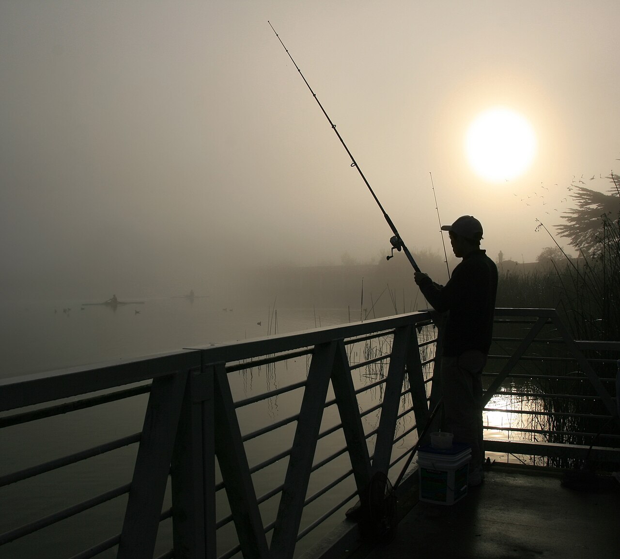 Lake Merced의 사진