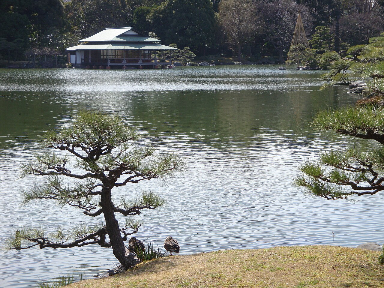 Kiyosumi Garden