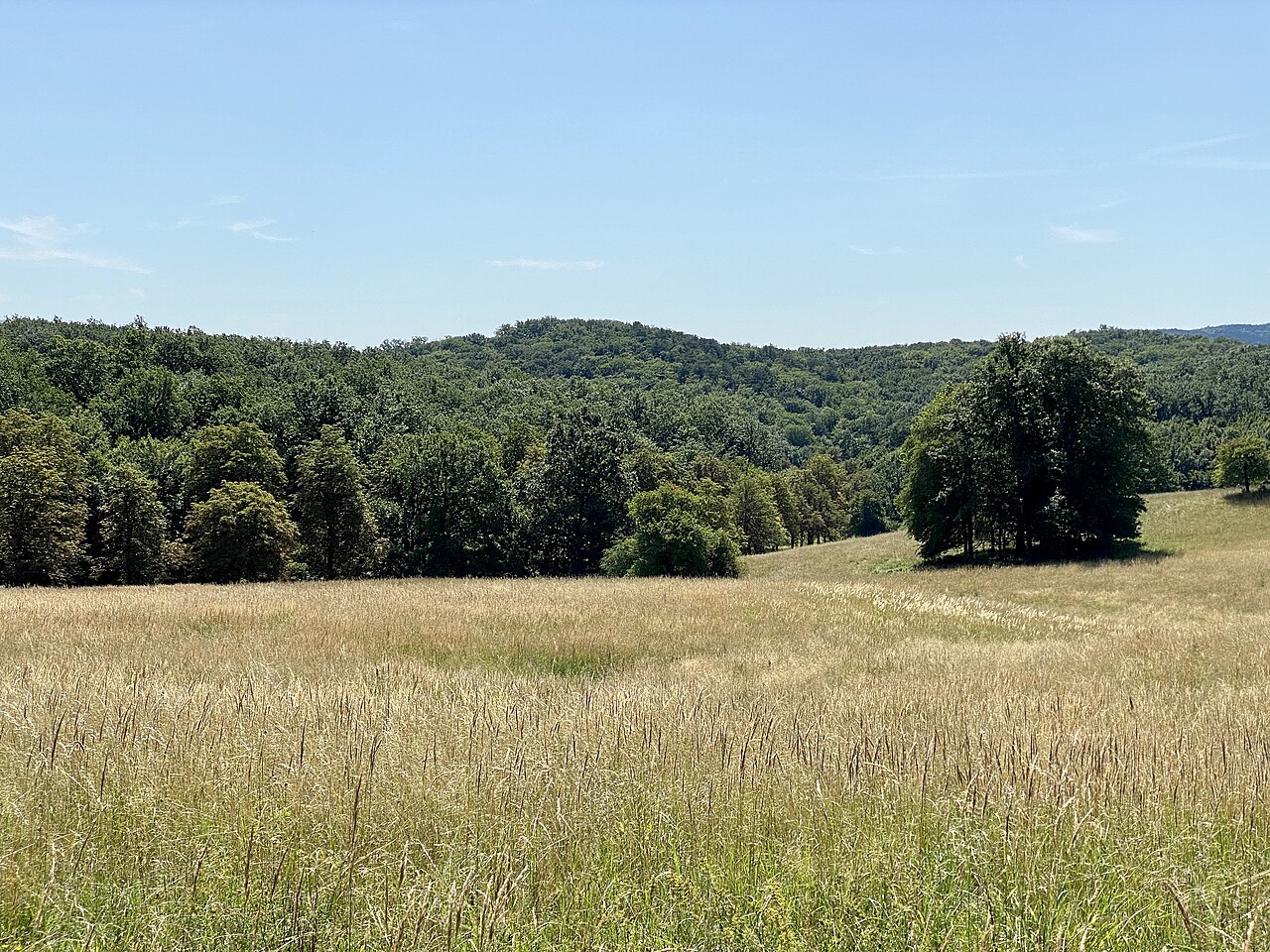 Kleiner Eichberg