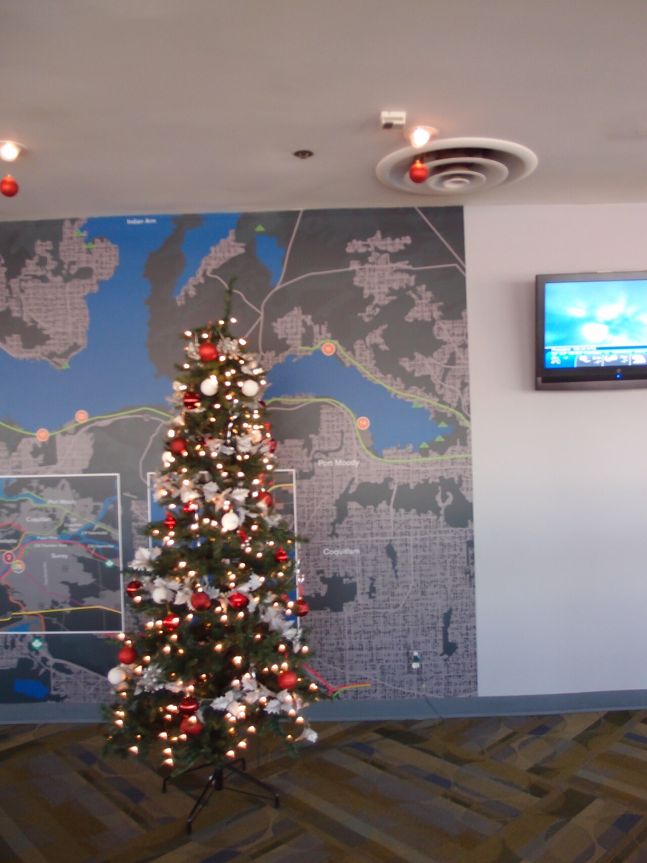 A photograph of Vancouver Lookout