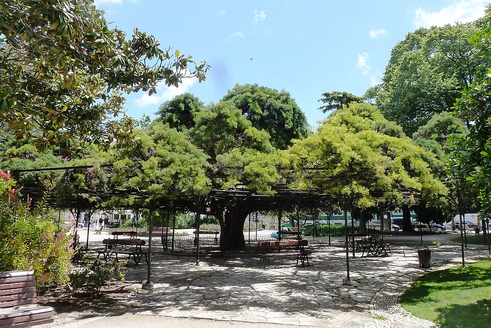 A photograph of Jardim do Príncipe Real