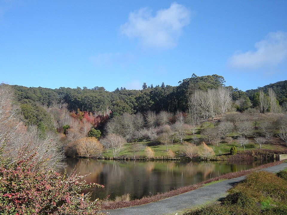 Mount Lofty Botanic Garden