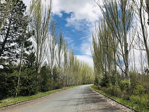«ՋՐՎԵԺ» ԱՆՏԱՌՊԱՐԿ