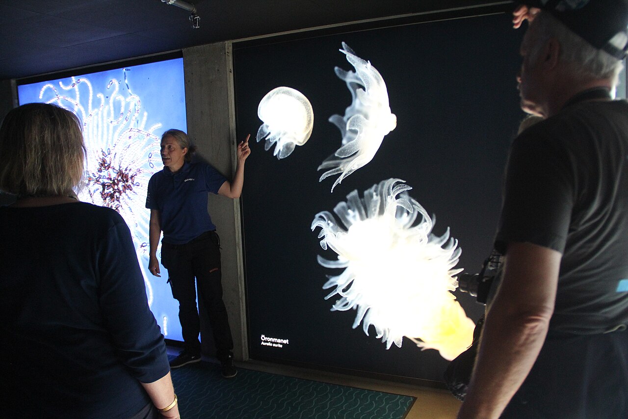 Baltic Sea Science Center fotoğrafı