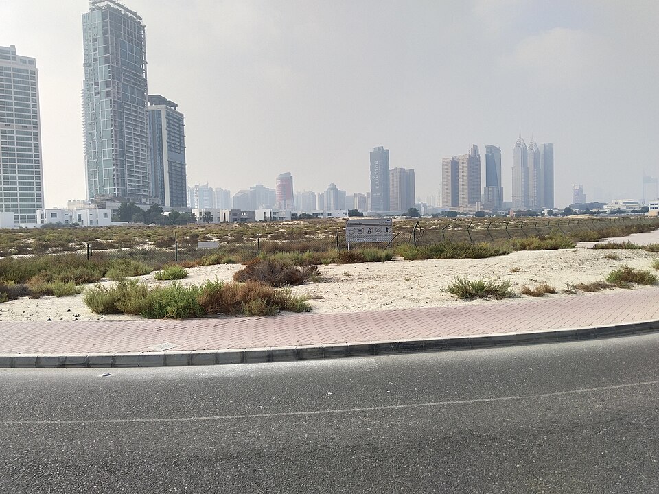 A photograph of Al Sufouh Archaeological Site