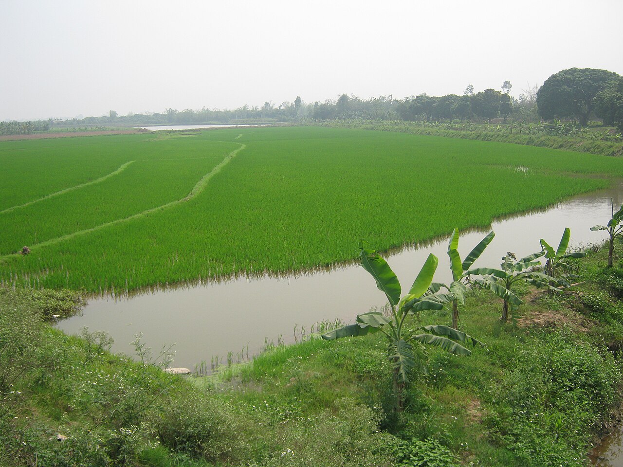 صورة Delta Reserve