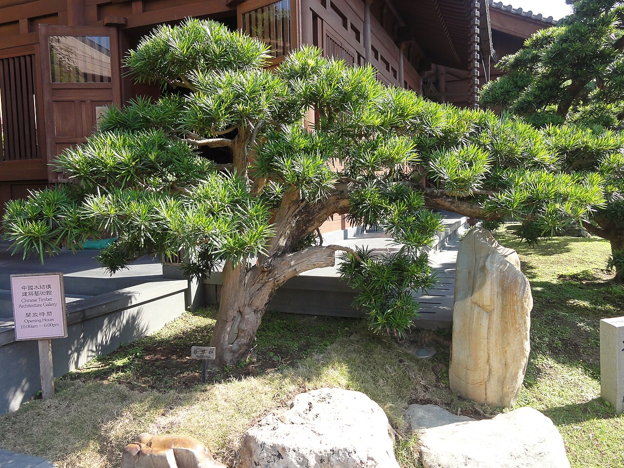 صورة Nan Lian Garden