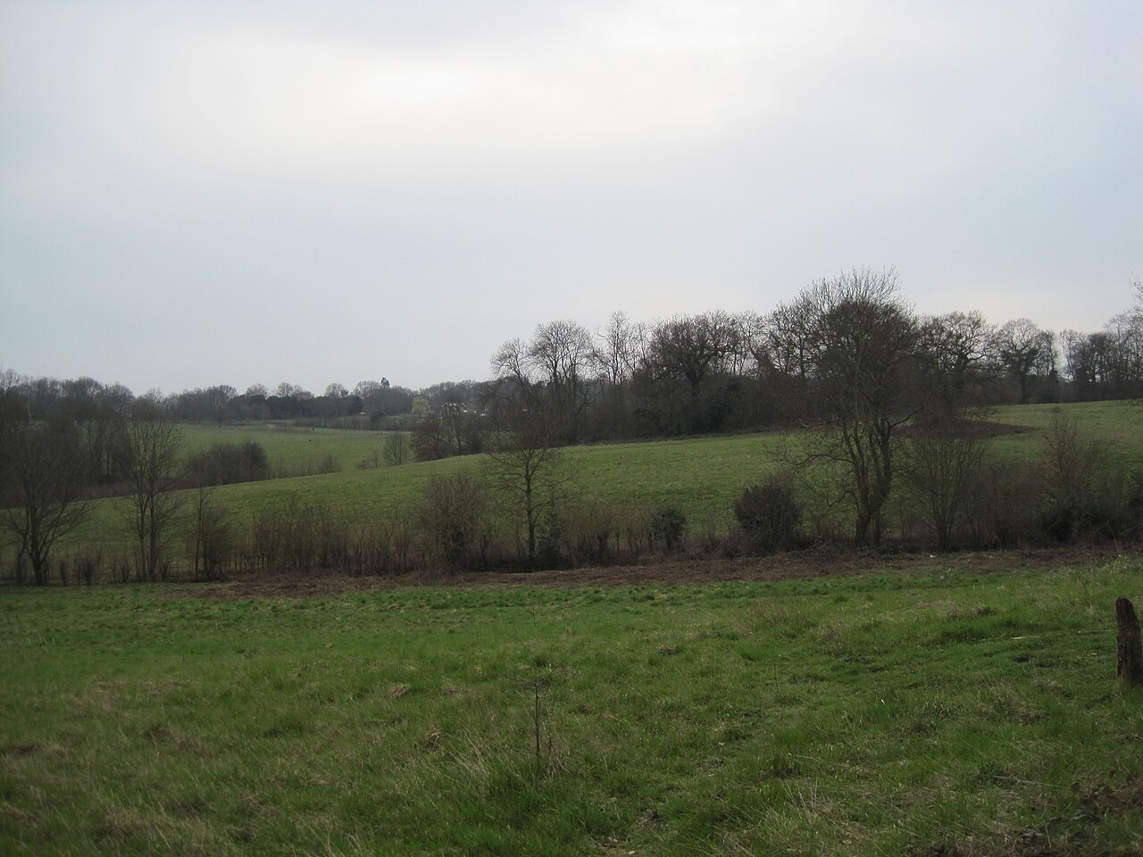 Scadbury Park