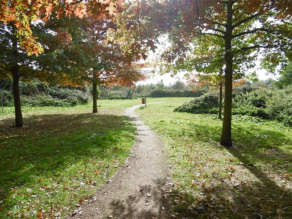 A photograph of Heathrow Biodiversity Site - Peggy Bedford