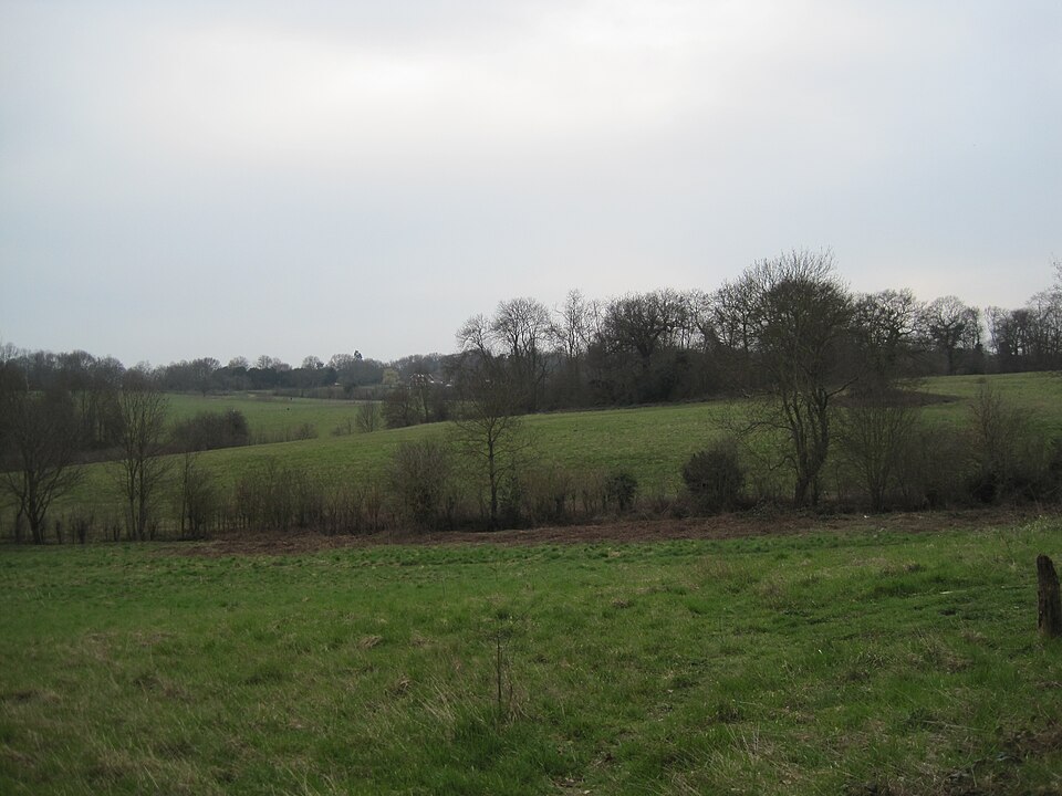 A photograph of Scadbury Park