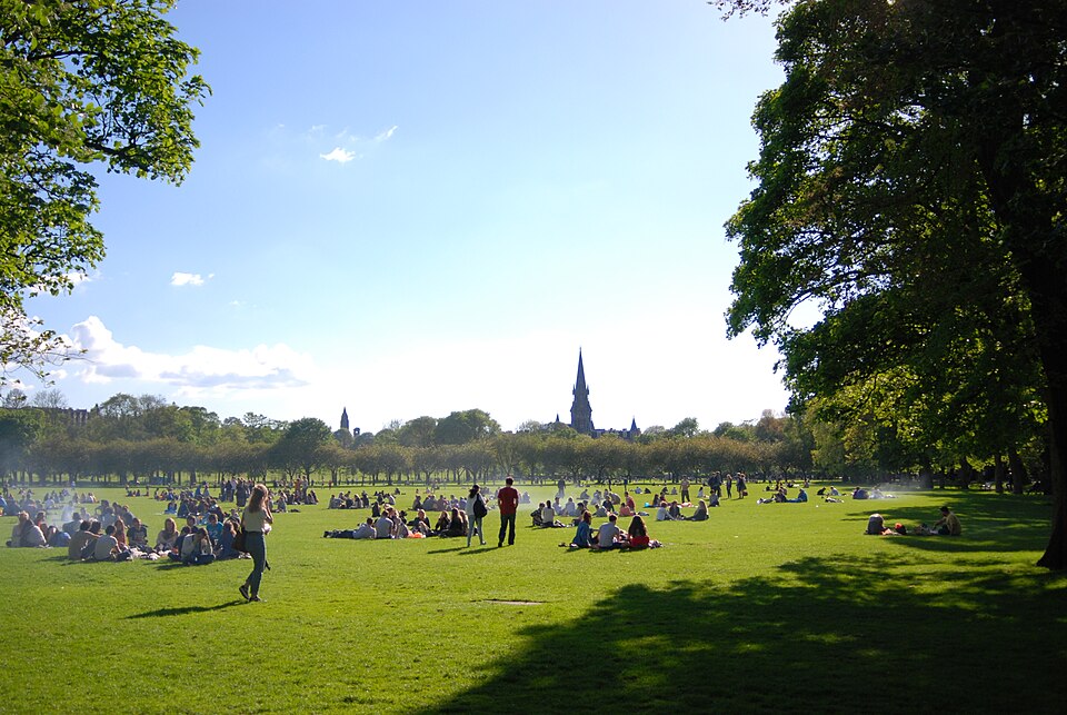 A photograph of The Meadows