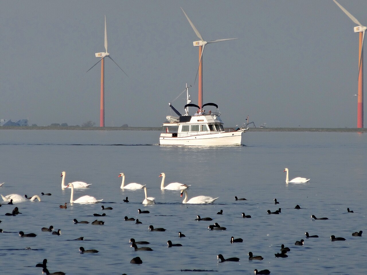 IJmeer fotoğrafı