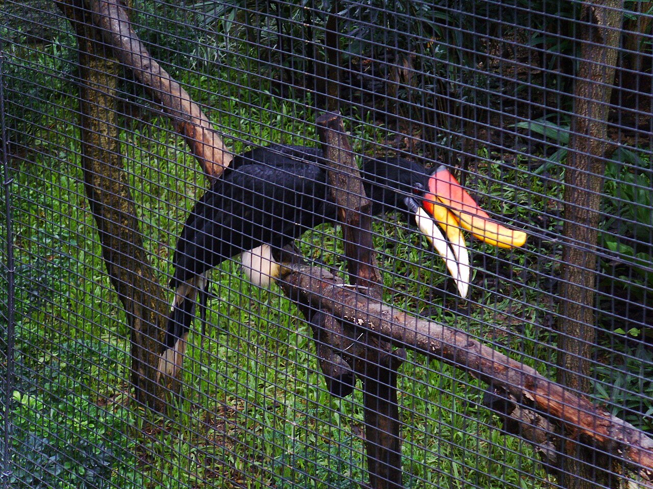 Aviary Park fotoğrafı