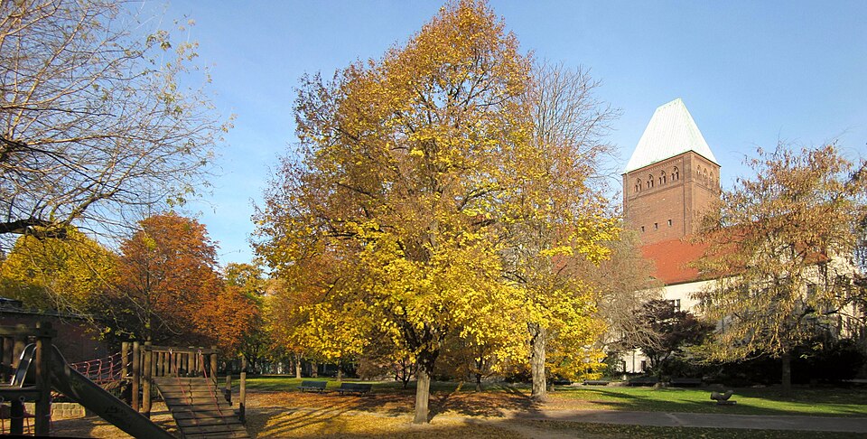 A photograph of Köllnischer Park