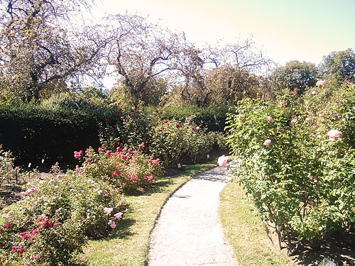 James P. Kelleher Rose Garden