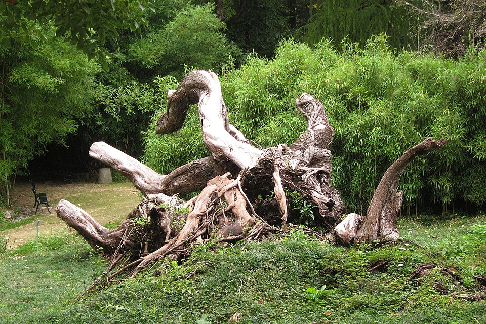 A photograph of Jardim Botânico de Lisboa