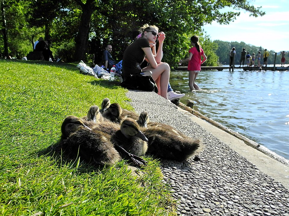 A photograph of Katzensee