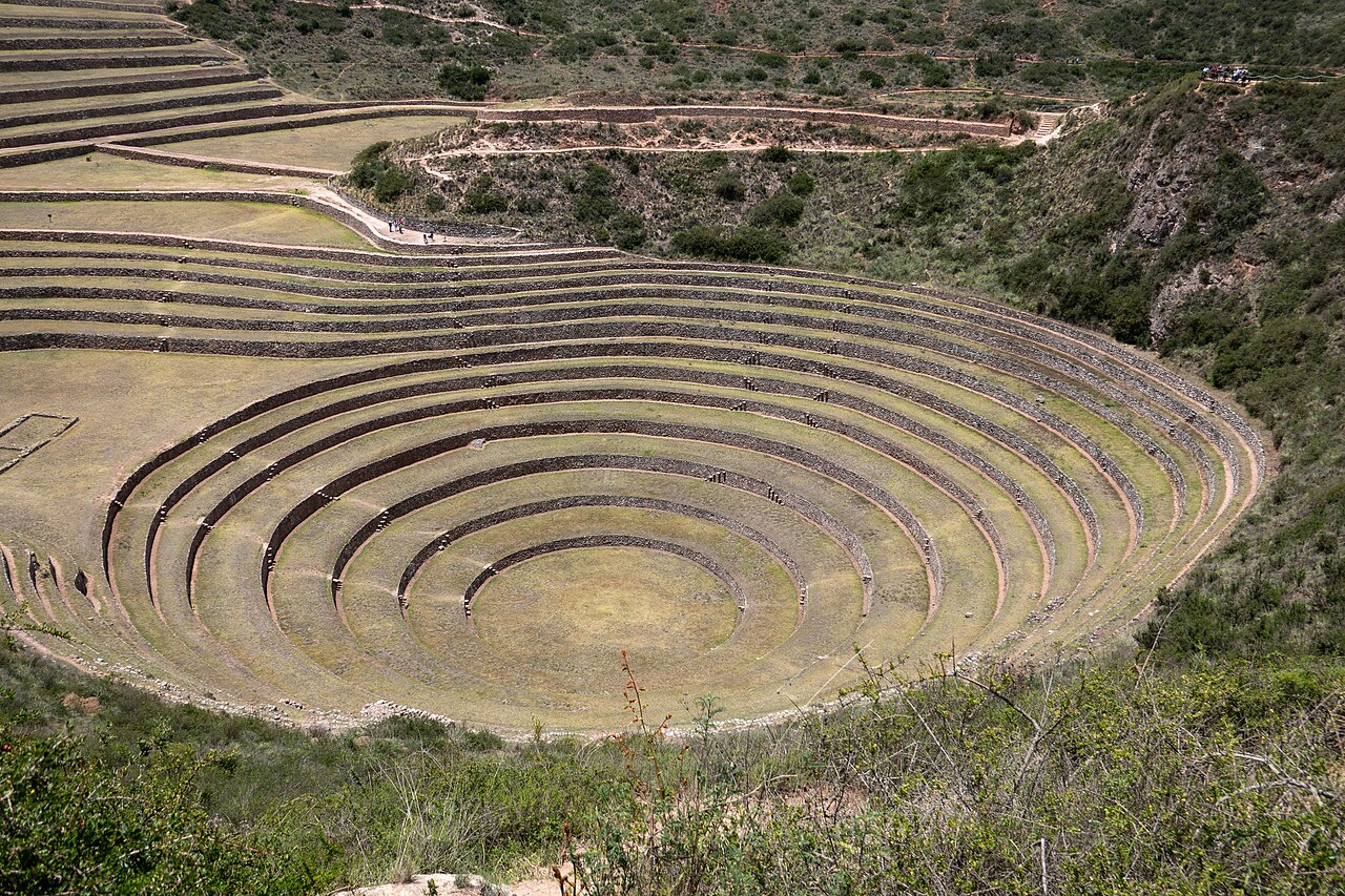 صورة Moray