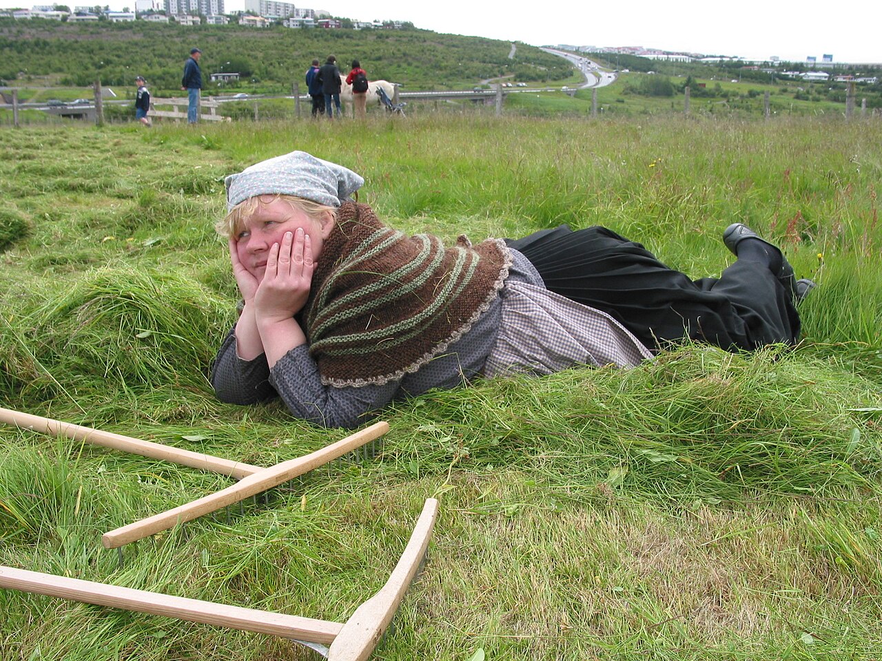 A photograph of Árbæjarsafn