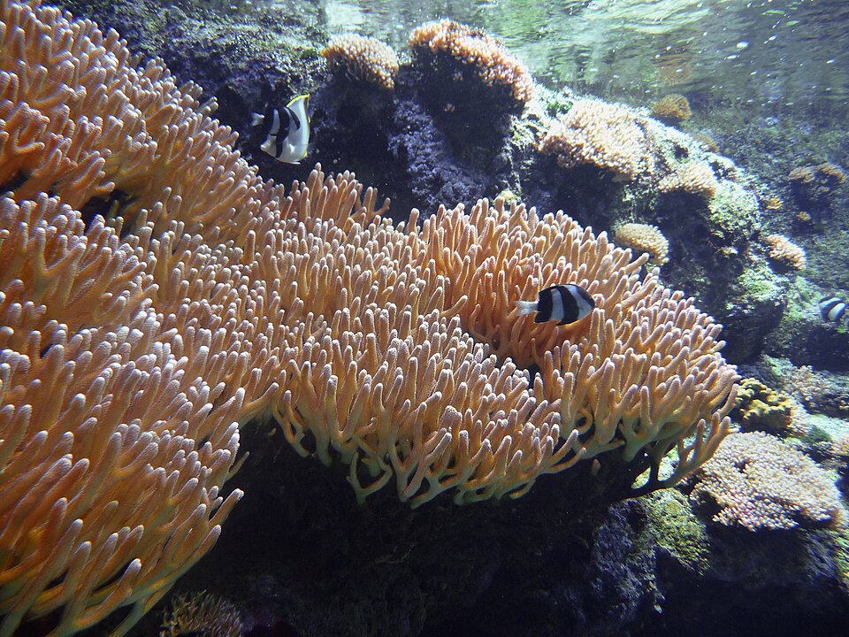 A photograph of Aquarium de Paris