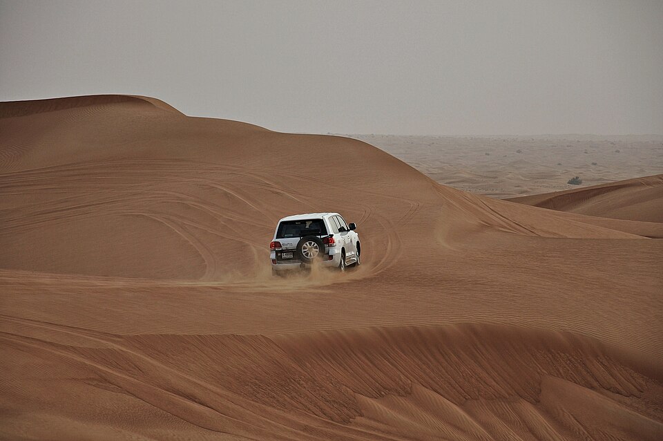 A photograph of Al Marmoom Desert Conservation Reserve