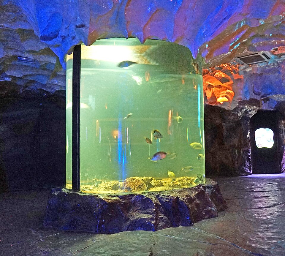 Faunia fotoğrafı