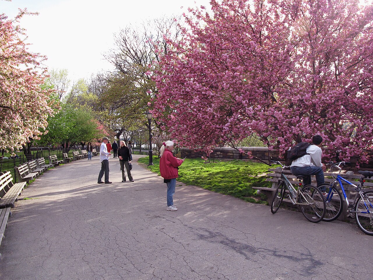 Riverside Park의 사진