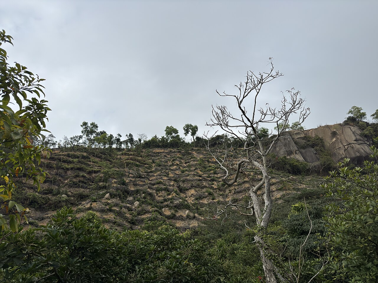 石排灣濕地 Terras húmidas de Seac Pai Van