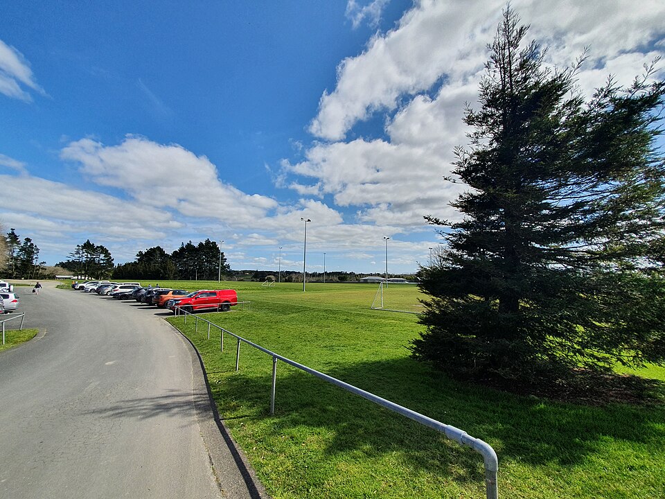 A photograph of Taylor Park