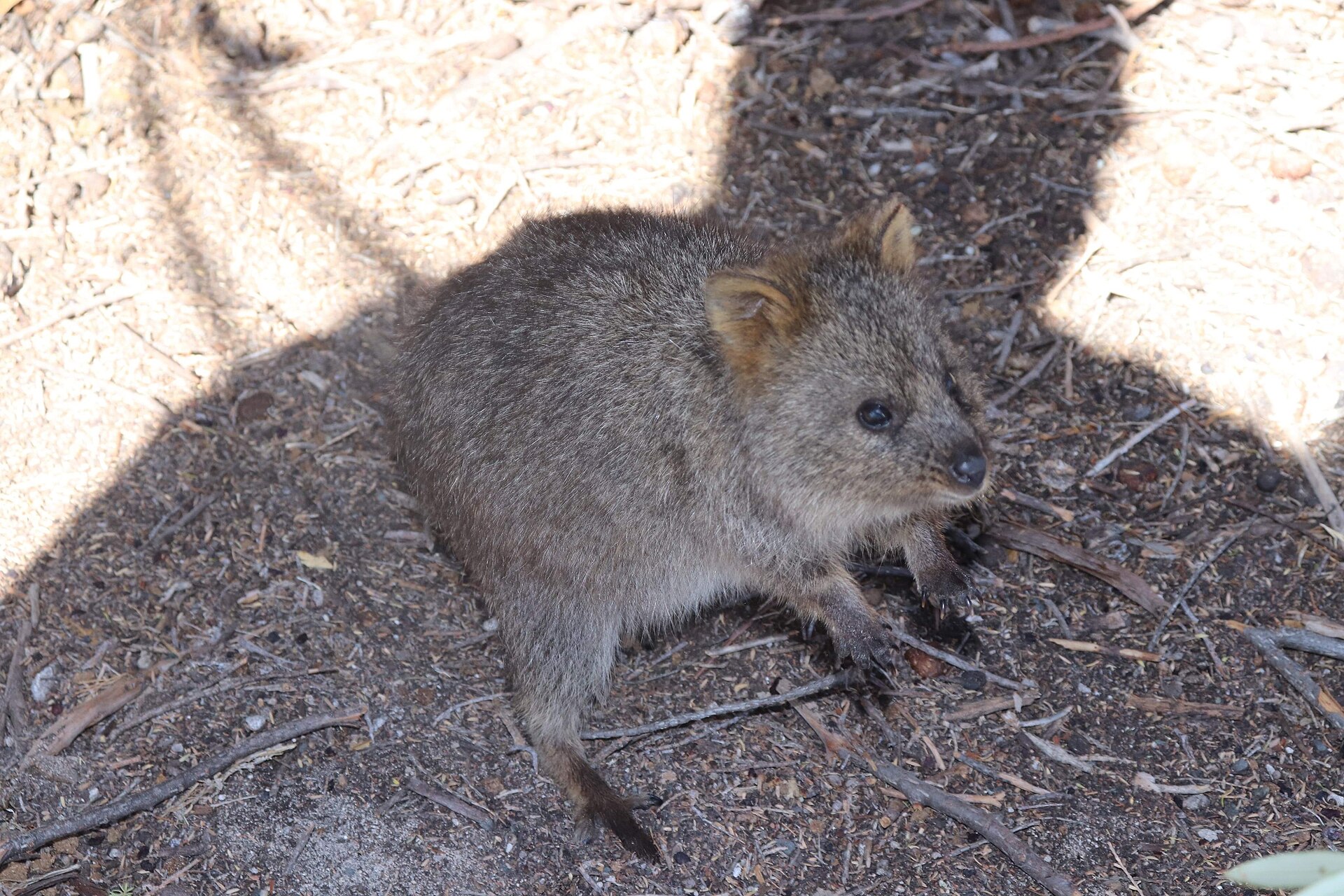 Rottnest Island State Reserve