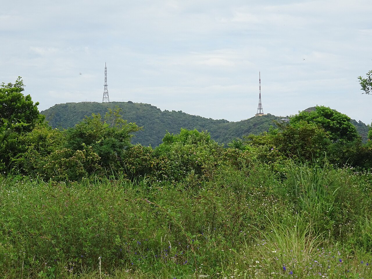 A photograph of Sơn Trà Mountain